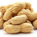 땅콩동물병원 이미지