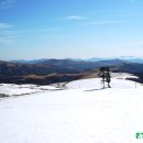 대관령목장 이미지