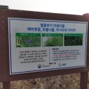 옥대1리 | (강원도 고성) 선유담, 가학정 - 강원도 고성군 죽왕면 공현진리 401