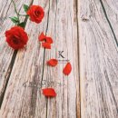 한국디자인예술교육원주