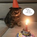 현대제이콤 노동조합 | 11월의 어느 (안) 멋진 나날들