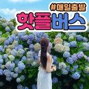 서귀포매일올레시장 | 서귀포매일 올레시장 평일 방문 후기(주차장, 주변 먹거리, 아방푸드)