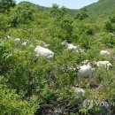 성천축산 이미지