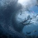 제주보홀 이미지