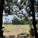 노을숲제주 이미지