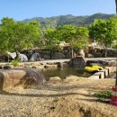 든해솔계곡캠핑장 이미지