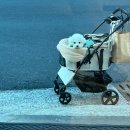 상인초등학교 | 상인동 깔끔한 초밥 맛집 모모스시 초밥은 이제 너로 정했다