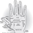 코지시엘 이미지