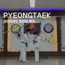 용인대파란태권도 이미지