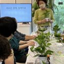 가호동16 이미지