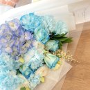 사파동235 이미지