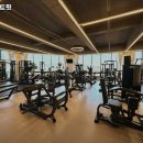 더모스트핏 이미지