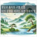 인간의 대지-터 이미지