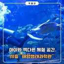 오이도해양공원 | 시흥<해양생태과학관> 회차별 꿀팁부터 주차까지 "방문 후기"