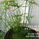 민주공인중개사사무소 이미지