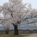 아산초등학교 이미지