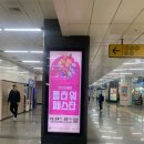 꽃-가족 | [2025 양재 플라워페스타] 후기! 주말 꽃 나들이+키자니아 가족체험 추천