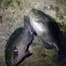 경천 낚시터 이미지