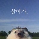 사임당갈비 이미지