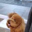 살롱드미미즈 이미지