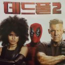 롯데컬처웍스(주)롯데시네마청주용암 | 데드풀2, 도미노처럼 행운이 가득하길
