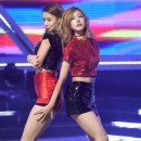사진나라 이미지
