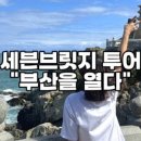 그리다투어&버스