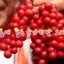 힐링팜