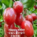 다시오리