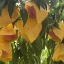 쇠실농장 이미지