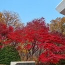 예와손만두 이미지