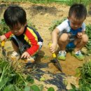 아인농장 이미지