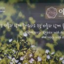 세종 금남 파리바게뜨