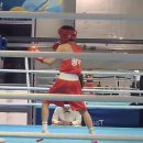 광주화랑권투 이미지