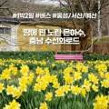 주식회사 서산여행사