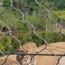 머털도사펜션민박 이미지