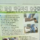 안성바른자세운동원