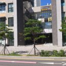 코코멍냥 이미지