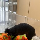 안해님농장 이미지