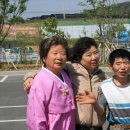 부여종합운동장 Daum카페