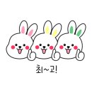 정성카경정비 이미지