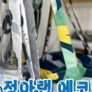 주식회사 캔버스링크 이미지