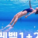 88프리다이브
