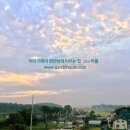 간드리집 네이버블로그