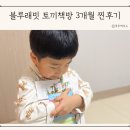 대한토끼 | 세계 창작 그림책 블루래빗 토끼책방 3개월 독서 성장 후기