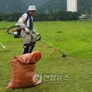 아라리축산 이미지