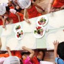 용인대 태기 합기도 이미지