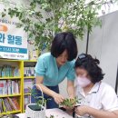 꽃향기 가득한 행촌 원예 프로그램 | '꽃향기 가득한 행촌' 마지막 수업~^^