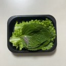 815 | 마산 합성동 숨은맛집 815족발에서 보쌈 포장 솔직후기