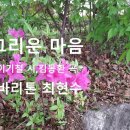 그리운 마음 (발길마다 밟히는 너의 그림자) 이미지